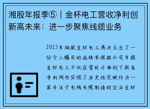 湘股年报季⑤｜金杯电工营收净利创新高未来：进一步聚焦线缆业务