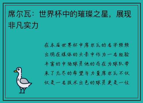 席尔瓦：世界杯中的璀璨之星，展现非凡实力